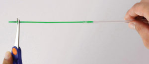 Sheep Artificial Insemination